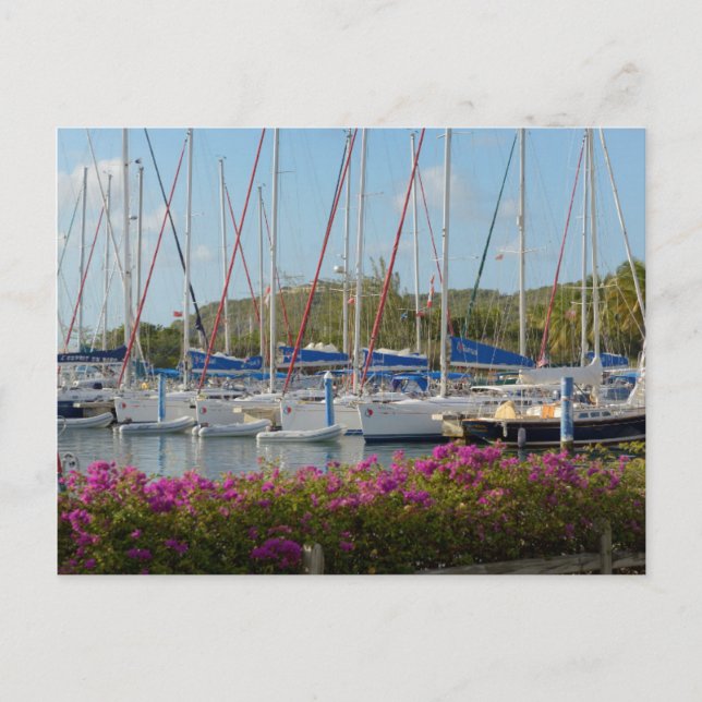 Carte Postale Marina pour yachts de Virgin Gorda (Devant)
