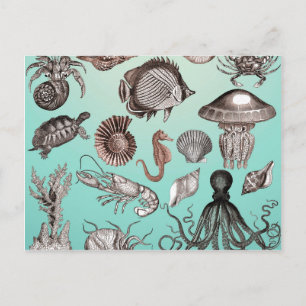 Carte Postale Marine