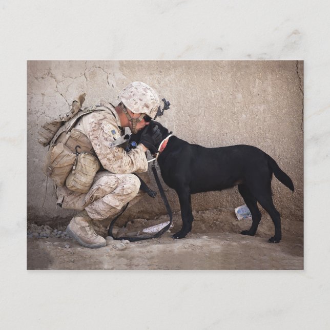Carte Postale Marine et son chien (Devant)