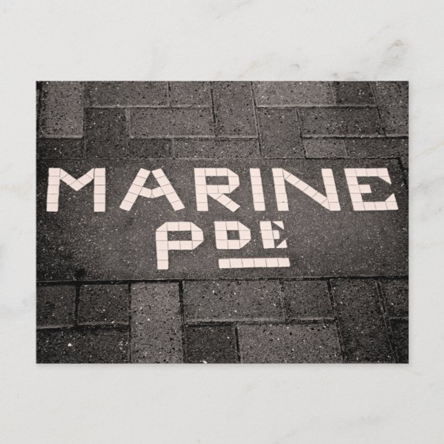 Carte Postale Marine Parade, Napier, Nouvelle-Zélande (Devant)