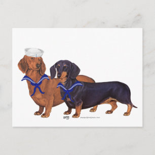 Carte Postale Marins Dachshund