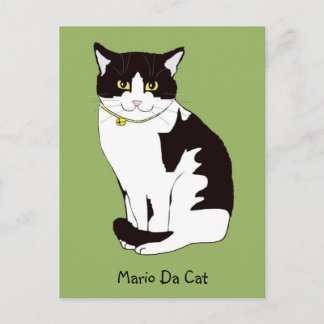 Carte postale Mario Da Cat