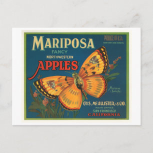 Carte Postale Mariposa Marque Pommes Vintage Étiquette Crate - B
