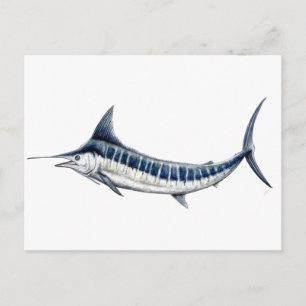 Carte Postale Marlin azul-redbubble