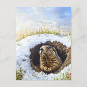 Carte Postale Marmotte