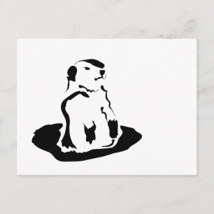 Carte Postale marmotte