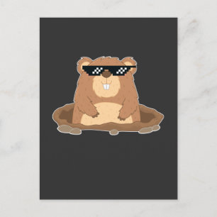 Carte Postale Marmotte drôle avec des lunettes de soleil Humour