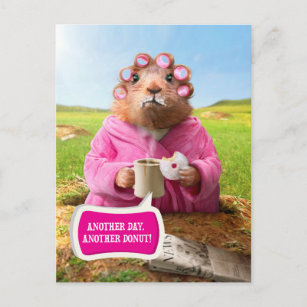 Carte Postale Marmotte du matin avec petit-déjeuner Donut et caf
