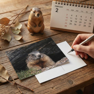Carte Postale Marmotte réaliste dans la nature sortant de sa gro
