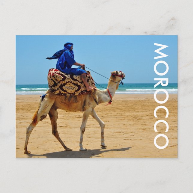 Carte Postale maroc arab ride chameau plage bord de mer (Devant)