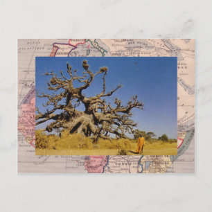 Carte Postale Maroc, dans le désert