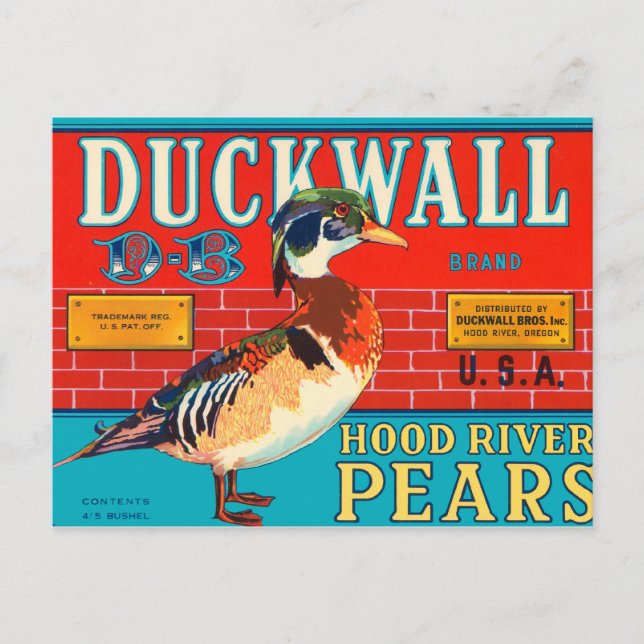 Carte Postale Marque Duckwall (Devant)