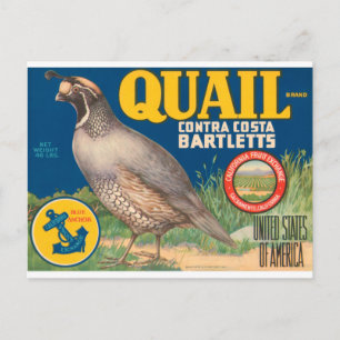 Carte Postale Marque Quail Contra Costa Bartletts