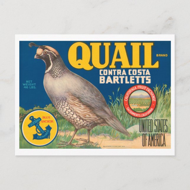 Carte Postale Marque Quail Contra Costa Bartletts Vintage Crate  (Devant)