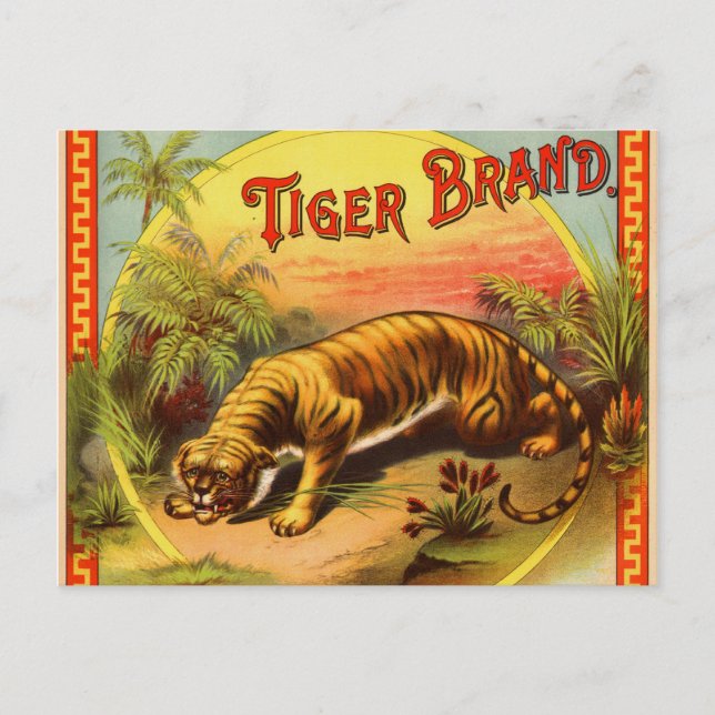Carte Postale Marque Tiger 1900 (Devant)