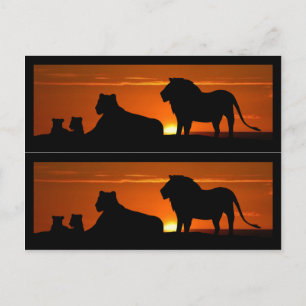 Carte Postale Marques de livres de la famille Lion