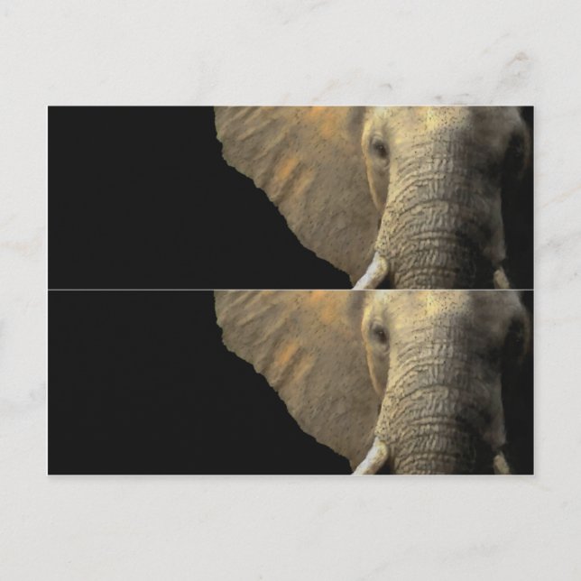Carte Postale Marqueur du livre Elephant Portrait (Devant)