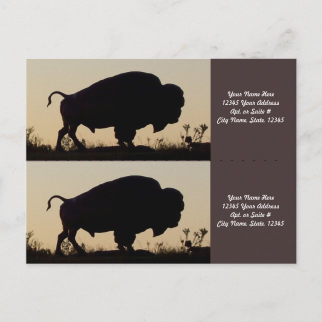 Carte Postale Marqueurs de silhouette de Buffalo (Devant)