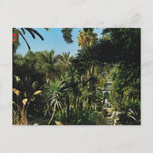 Carte Postale Marrakesh, Majorelle gardens, Morocco
