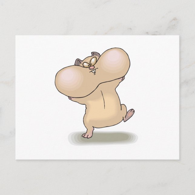 Carte Postale marrant jouet hamster (Devant)