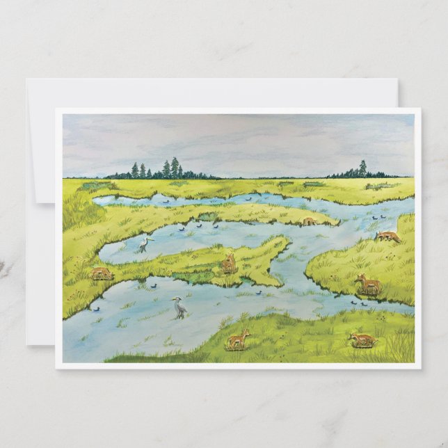Carte postale Marsh (Devant)