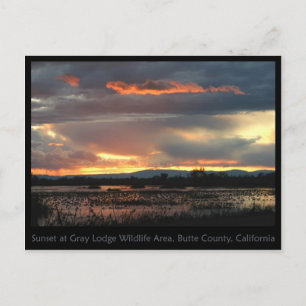 Carte postale Marsh Sunset #2
