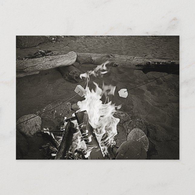 Carte Postale Marshmallows au-dessus d'un feu (Devant)