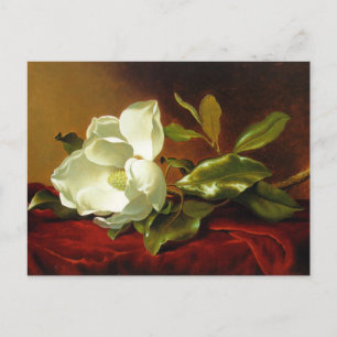 Carte Postale Martin Johnson Heade Magnolia Vintage