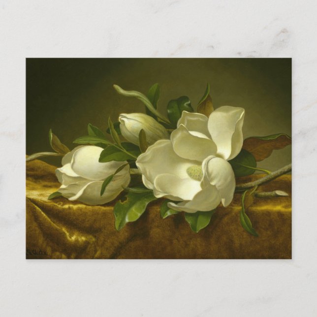 Carte Postale Martin Johnson Heade - Magnolias sur Gold Velvet (Devant)