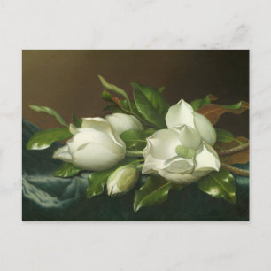 Carte Postale Martin Johnson Heade - Magnolias sur le bleu clair