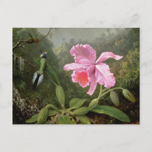 Carte Postale Martin Johnson Heade Orchid Et Hummingbirds