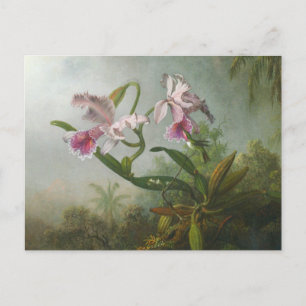 Carte Postale Martin Johnson Heade - Orchidées et colibris