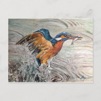 Carte Postale Martin-pêcheur