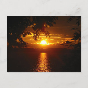 Carte Postale Maryland 2005