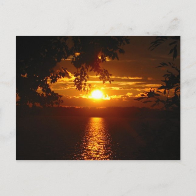 Carte Postale Maryland 2005 (Devant)