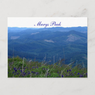 Carte Postale Marys Peak