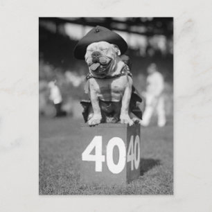 Carte Postale Mascotte des Marines, années 1920