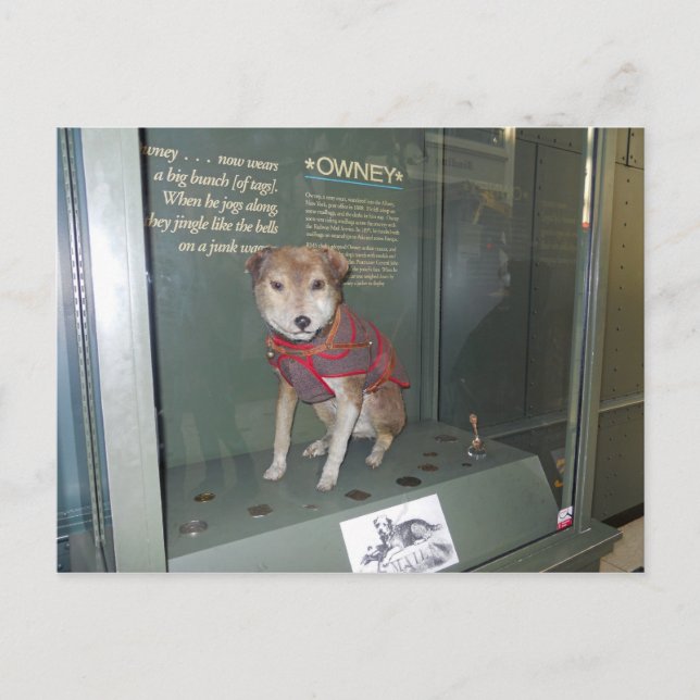 Carte Postale Mascotte du musée du bureau de poste national Owne (Devant)