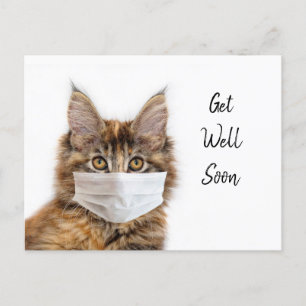 Carte Postale Masque facial sur un chat Maine Coon en convalesce
