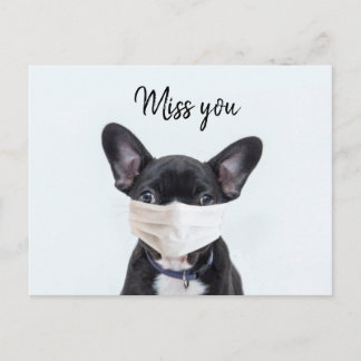 Carte Postale Masque visage sur French Bulldog