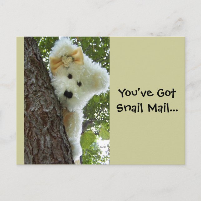 Carte Postale Masquer et rechercher (Devant)