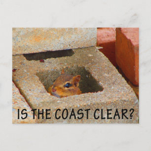 Carte Postale Masquer l'écureuil