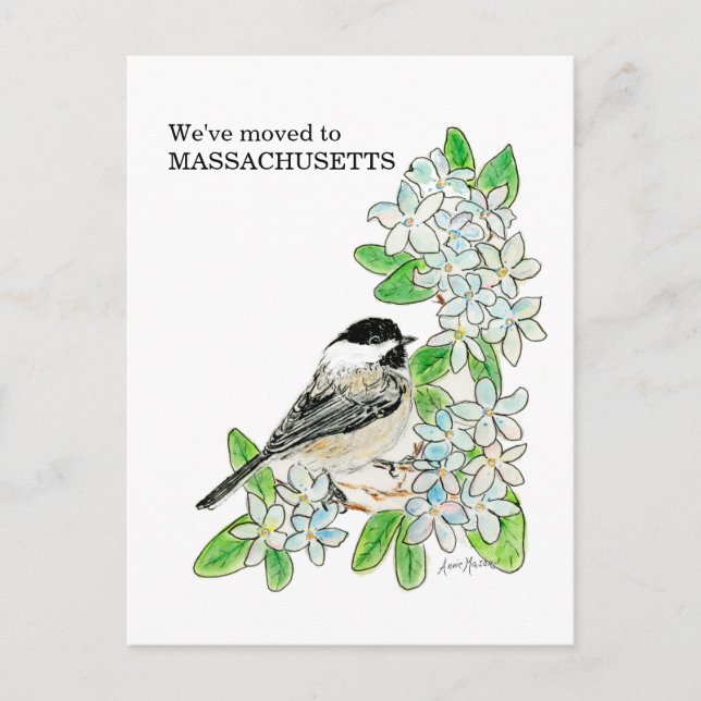 Carte Postale Massachusetts (Devant)