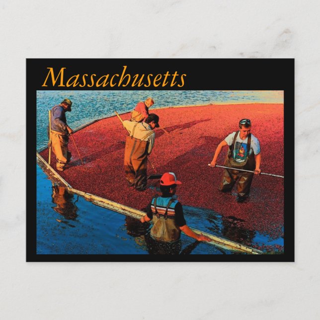 Carte postale Massachusetts (Devant)