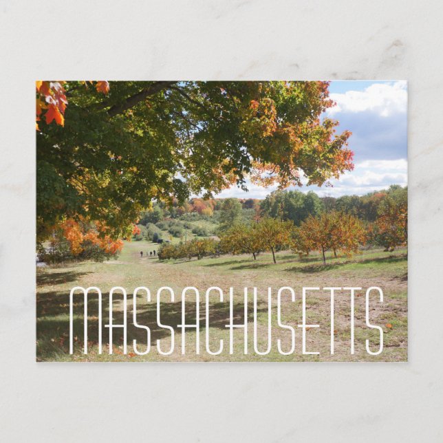 Carte Postale Massachusetts automne feuillage arbre feuilles car (Devant)