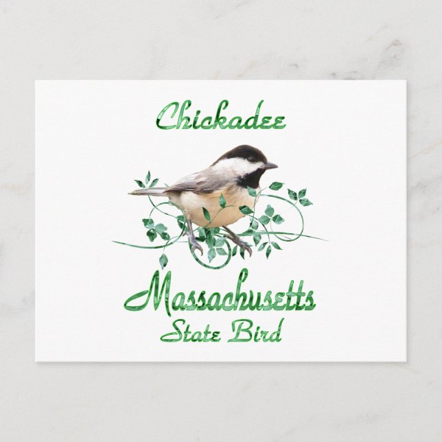 Carte Postale Massachusetts de Chickadee Oiseau d'État (Devant)