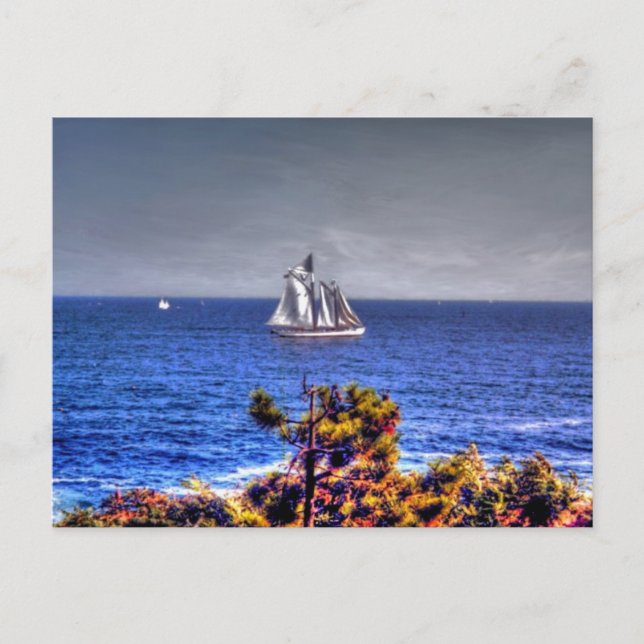 Carte Postale Massachusetts, Gloucester - (Devant)