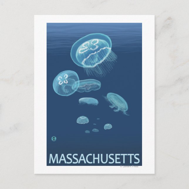 Carte Postale MassachusettsScène de méduses (Devant)