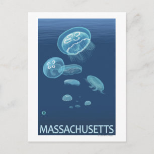 Carte Postale MassachusettsScène de méduses
