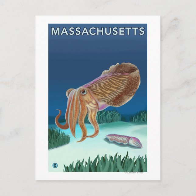 Carte Postale MassachusettsScène de seiche (Devant)